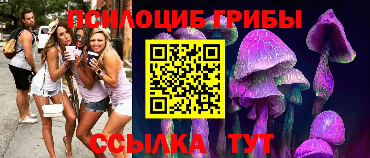 Черногорск  Псилоцибиновые грибы MAGIC MUSHROOMS  Вход с VPN 