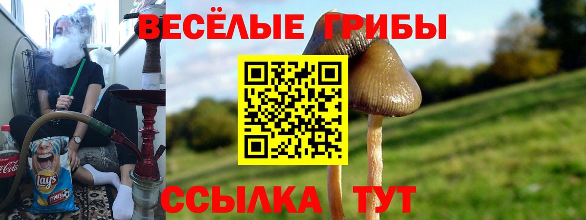Псилоцибиновые грибы мухоморы Черногорск